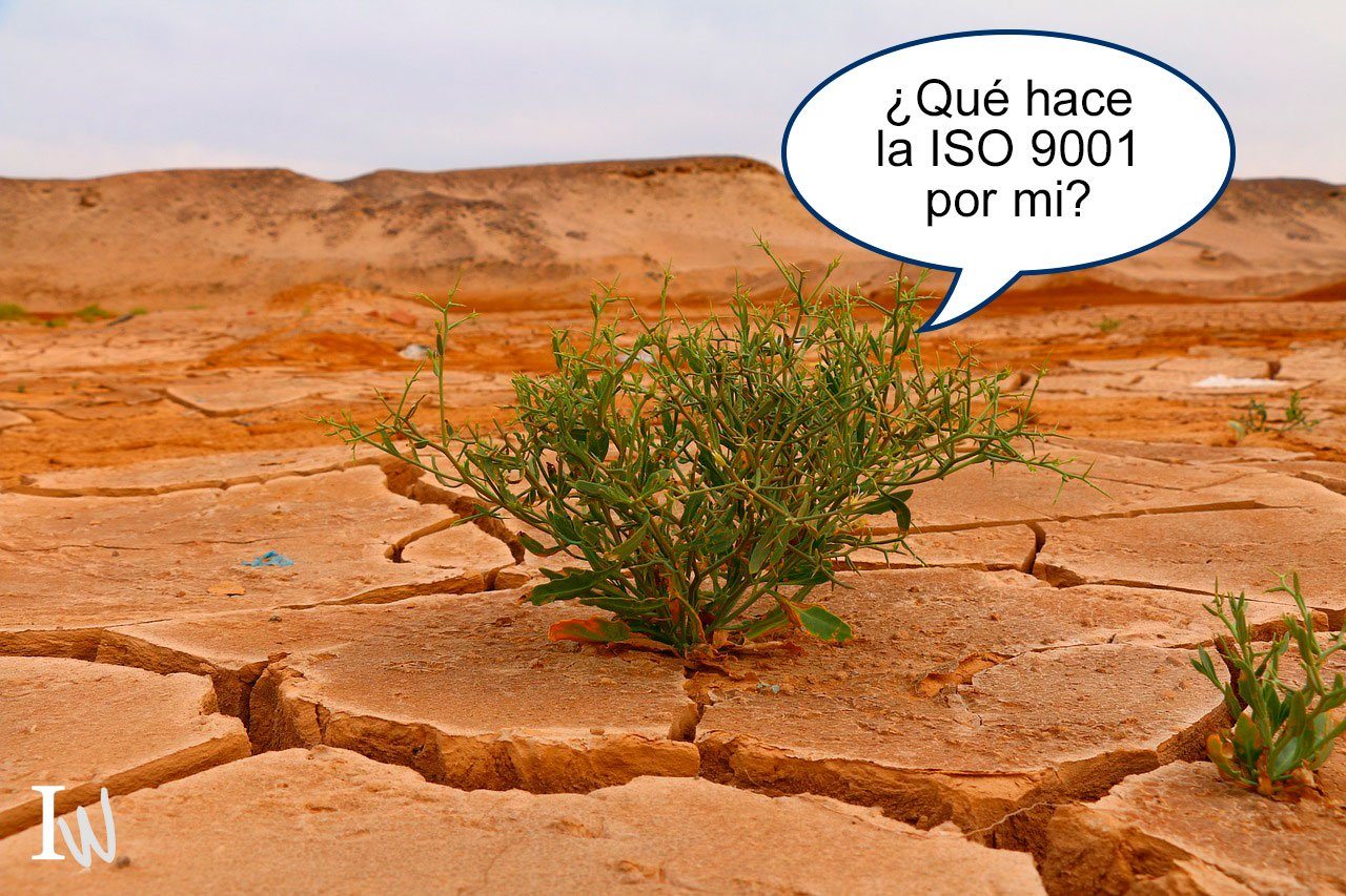 El Cambio Climático en ISO 9001